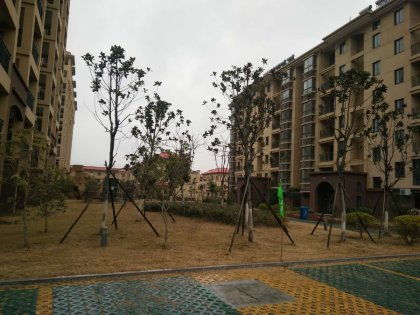 南京清华房产怎么样