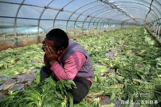 哈尔滨房产滞销怎么办