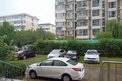 晨曦房产直播怎么样