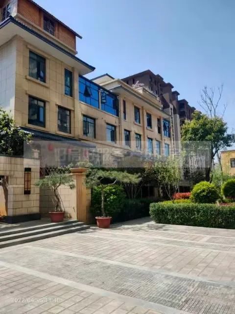 汝阳豪华房产怎么样