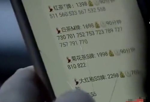 房产退税真实结果怎么查