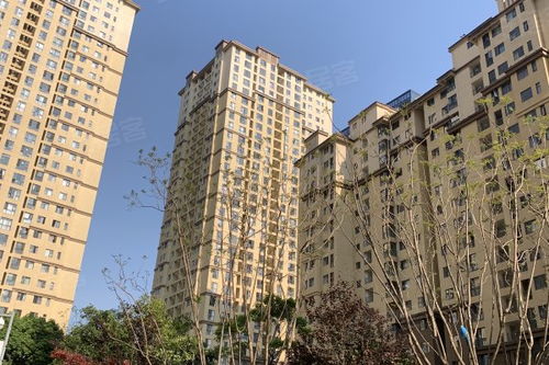 黄岛保利房产怎么样