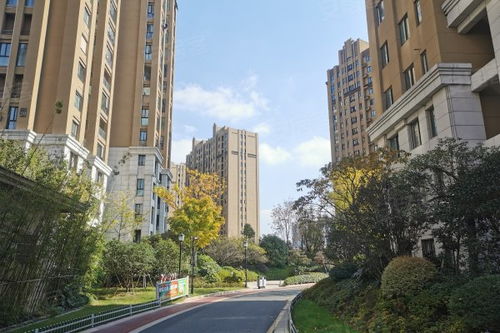 奥体旁边的房产怎么炒作