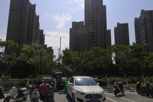 奥体旁边的房产怎么炒作