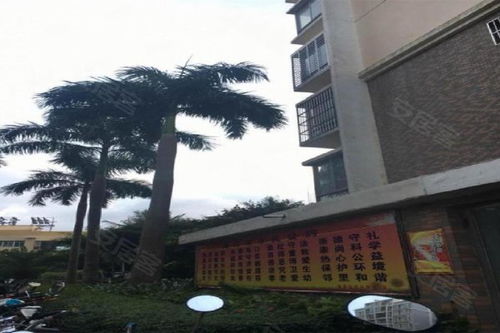 海口房产中介怎么招人