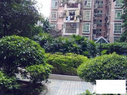 云霄复兴房产怎么样