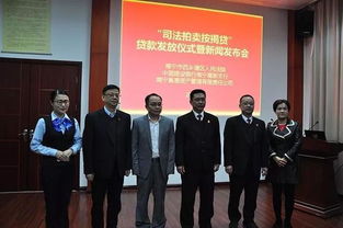 法院怎么才会拍卖房产