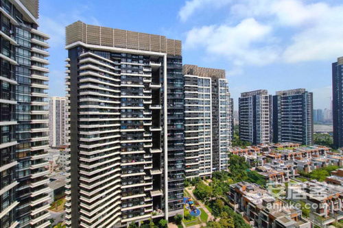 长沙中信房产怎么样