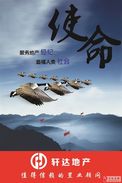 房产前期怎么自己干