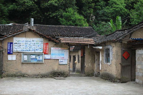 农村分户怎么分房产 农村分户怎么分房产