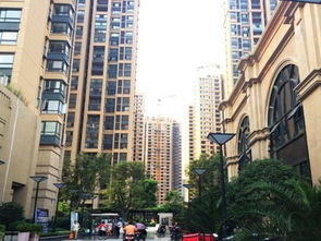 柳州红星房产怎么样 柳州红星房产怎么样