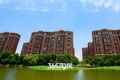 芜湖房产体系怎么样