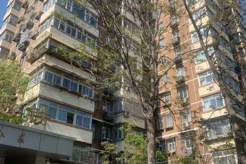 房产小区物业怎么样