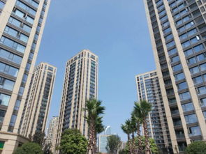 金为房产怎么样 金为房产怎么样