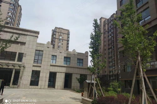 怎么提问榆林房产中介