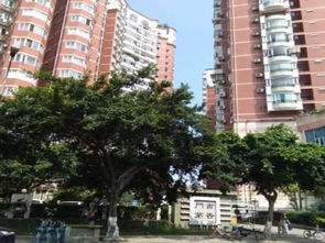 泉州门第房产怎么样