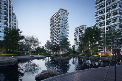 茂华房产怎么样