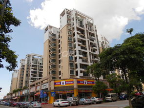 中山市房产怎么查