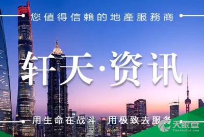 怎么用天眼查看个人房产