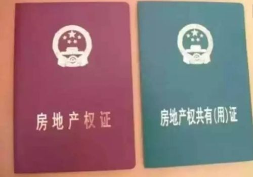 房产共有人姓名怎么填