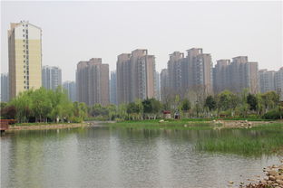 合肥房产策划怎么样