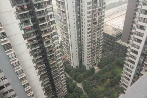 鸿圣房产怎么样