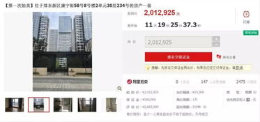 怎么查别人的房产拍卖 怎么查别人的房产拍卖