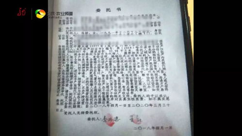 怎么解除房产委托书