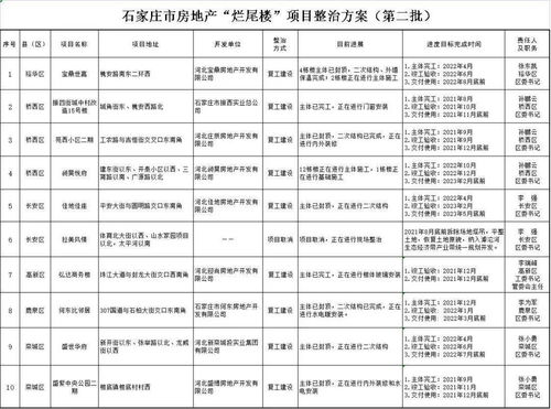 房产项目建设任务怎么写