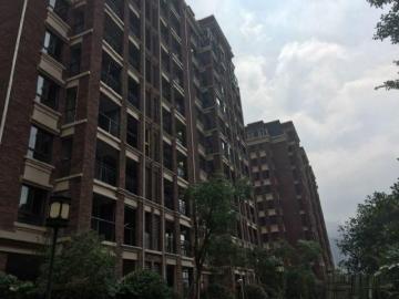 乐清房产销售怎么查 乐清房产销售怎么查