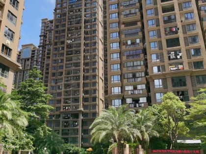 鼎盛房产经纪怎么样