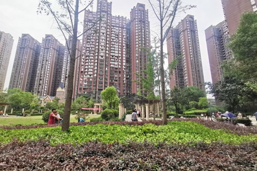 常绿房产绿化怎么样