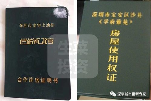 无房产权违建怎么处理 无房产权违建怎么处理