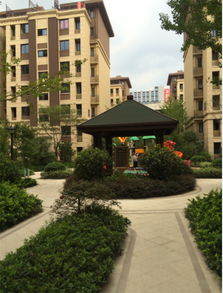 被告房产是违建怎么处理