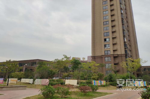 德州阿斌房产怎么样 德州阿斌房产怎么样