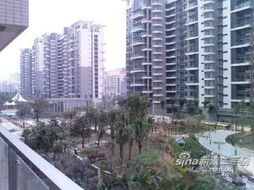 平南房产怎么查卖完没有 平南房产怎么查卖完没有