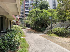 平湖小猫房产怎么样