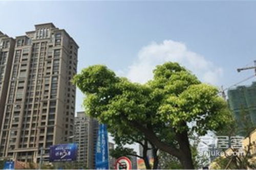 徐州保利房产怎么样