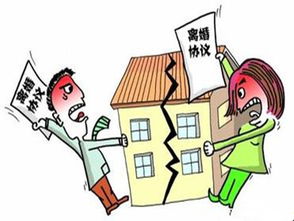 房产被析产怎么办