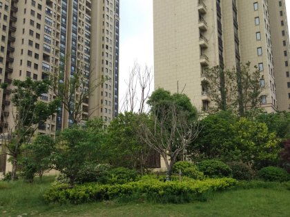 襄阳绿地房产怎么样 襄阳绿地房产怎么样