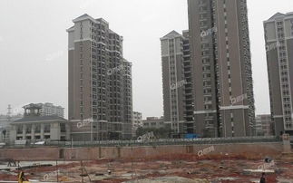 惠州房产该怎么去销售