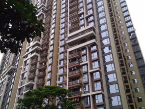 瑞安小羊房产怎么样