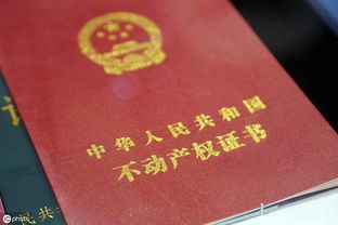 成都怎么查无房产证明