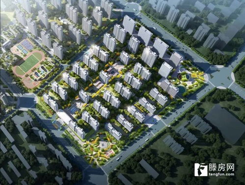 滕州明星房产怎么样