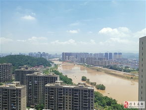 信丰领航房产怎么样