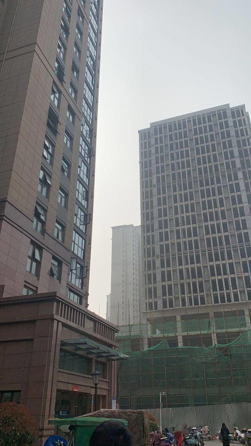 安置房抵押怎么查房产