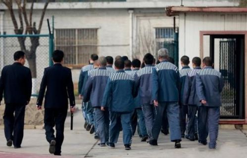 进监狱死了房产怎么算