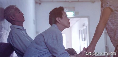 姐姐死后弟弟房产怎么分 姐姐死后弟弟房产怎么分