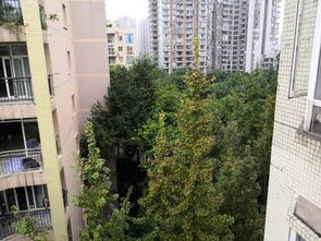 永川投资房产怎么样