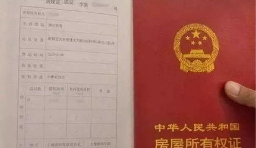 怎么造个房产证 怎么造个房产证